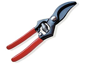Pruning Shears