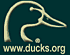 Ducks Unlimited