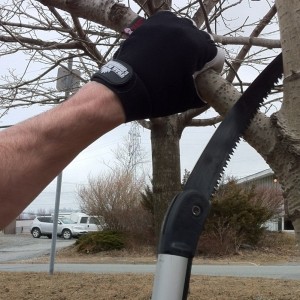 Trail Blazer’s New All Purpose Gloves!!!