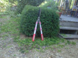 Telescopic Geared Hedge Shears